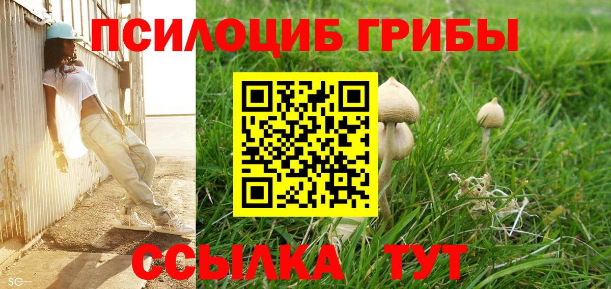 Усть-Джегута  Псилоцибиновые грибы Psilocybine cubensis  Вход с VPN 